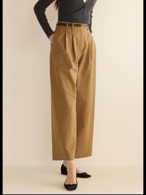 Doen High-Waist Pleated Trousers in Brown